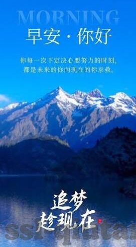 2018世界杯瑞典组-2018世界杯瑞典队，铁血之师，荣耀与遗憾并存