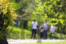 抢庄牛牛软件有哪些-抢庄牛牛软件全解析，功能、优势与选择指南
