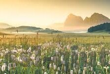 足球比分球琛-从足球比分球琛看足球数据背后的热血与智慧